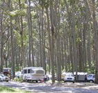 Mystery Bay Camping Area