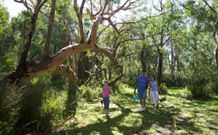 Port Stephens Treescape - Accommodation Ballina 4