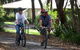 Port Stephens Treescape - thumb 6
