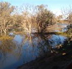 Warrawong on the Darling - Accommodation Ballina