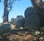 Warreen Farmstay Rural Accommodation - Accommodation Ballina