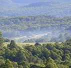 Nowendoc Country Motel - Nowendoc - Accommodation Ballina