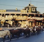 The Commercial Hotel Coonamble - Coonamble - Accommodation Ballina