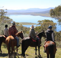 Reynella Homestead and Horseback Rides - Accommodation Ballina