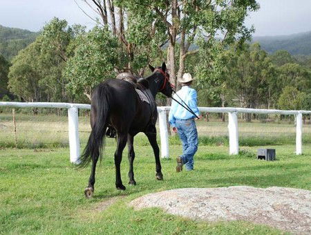 Cherrabah Resort - Accommodation Ballina 2