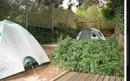 The Flying Fox Backpackers - Accommodation Ballina 2