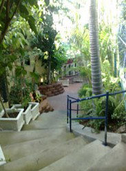 Reef Lodge Backpackers - Accommodation Ballina 1