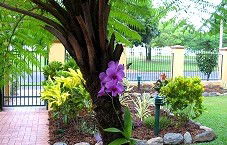 Waterfront Terraces - Accommodation Ballina 1