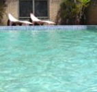 Toreador Motel - Coffs Harbour - Accommodation Ballina