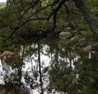 Hidden Valley Farm - Accommodation Ballina