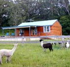 Moorallie Cottage Farm Stay - Accommodation Ballina