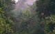 Havans Ecotourist Retreat - - thumb 0