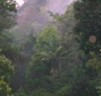Havans Ecotourist Retreat - - Accommodation Ballina