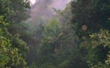 Havans Ecotourist Retreat - - Accommodation Ballina 0