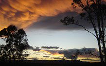 Silkwood B And B - Accommodation Ballina 1
