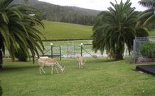 Sunny Hill Retreat Accommodation And Day Spa - - Accommodation Ballina 6