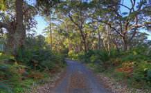 BiJs On The Beach - Accommodation Ballina 3