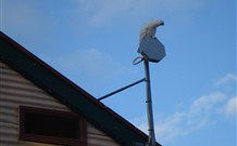 Hat Head Holiday House - Accommodation Ballina 6
