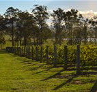 Hidden Treasure - Accommodation Ballina