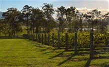 Hidden Treasure - Accommodation Ballina 0
