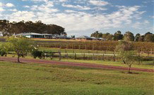 Hidden Treasure - Accommodation Ballina 6