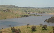 In The Heart Of Husky - Accommodation Ballina 0