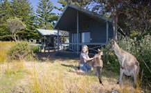 Norman Lindsay Cottage - Accommodation Ballina 9