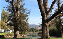 Sand Cottage - Accommodation Ballina 1