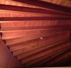 Sea Cottage - Accommodation Ballina