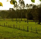 Stone Cottage Mittagong - Accommodation Ballina