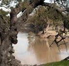 Valley View Cottage Hunter Valley - Accommodation Ballina