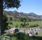 Woolshed Hill Estate - Accommodation Ballina