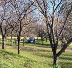 Worrowing Boat Shed - Accommodation Ballina