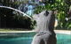 Port Stephens YHA - thumb 6