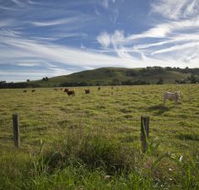 Annas Retreat - Accommodation Ballina