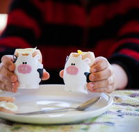 Cosy Cow Farmstay Bed and Breakfast - Accommodation Ballina