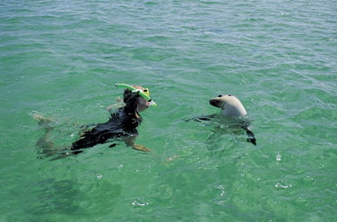 Coodlie Park - Port Kenny - Venus Bay - Accommodation Ballina 3