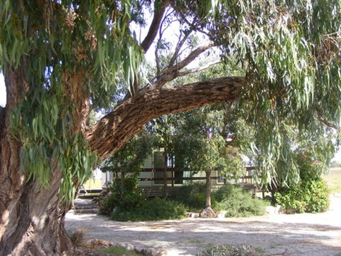 Coodlie Park - Port Kenny - Venus Bay - Accommodation Ballina 4