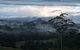 Grey Gum Lodge - thumb 2