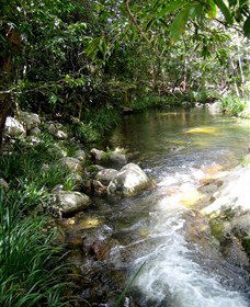 Sweetwater Lodge - Accommodation Ballina 3