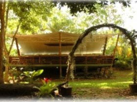 Cedar Park Rainforest Resort - Accommodation Ballina 2