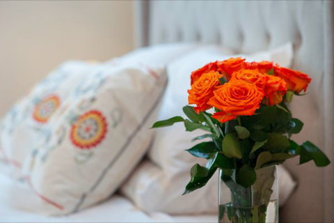 The Nest At Gundaroo - Accommodation Ballina 0