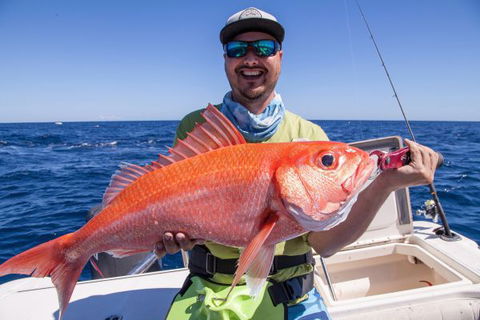 Mackerel Islands - Accommodation Ballina 7