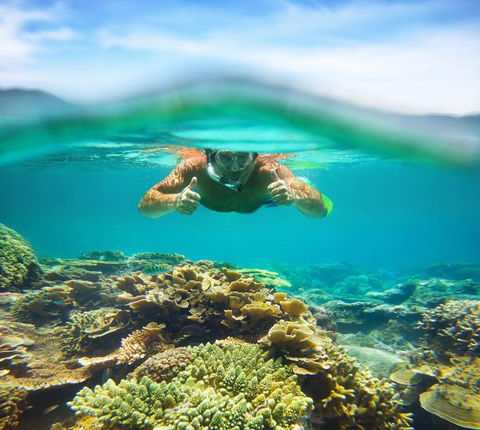 Mackerel Islands - Accommodation Ballina 8