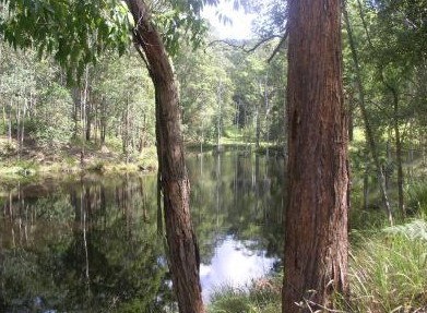 Kemeys At Mandalong - Accommodation Ballina 4