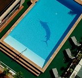 Pacific International Hotel - Accommodation Ballina