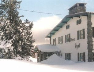 Peer Gynt - Accommodation Ballina 2