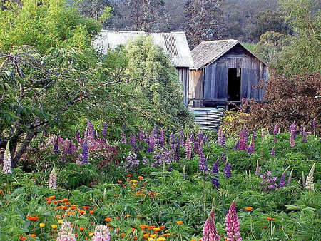 Hamlet Downs Country Accommodation - Accommodation Ballina 2