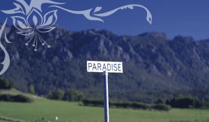 Glencoe Country Bed And Breakfast - Accommodation Ballina 2