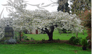 Glencoe Country Bed And Breakfast - Accommodation Ballina 3